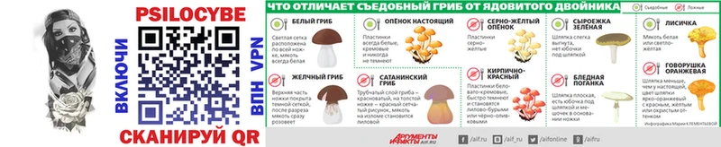 Купить где  Холмск  Псилоцибиновые грибы Psilocybine cubensis 